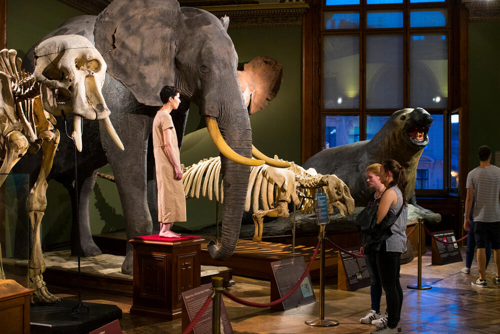 Vienna Natural History Museum