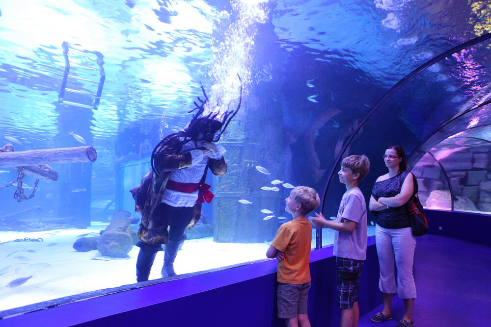 Aquarium Antalya For Kids