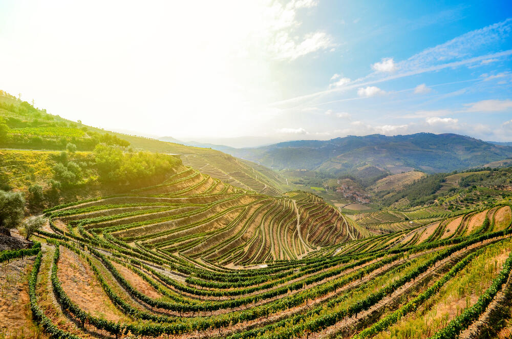 Douro Valley Porto