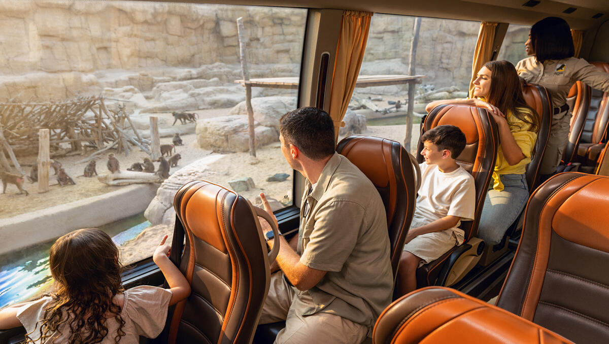 Safari Park Ticket with Explorer Safari & Shuttle Train