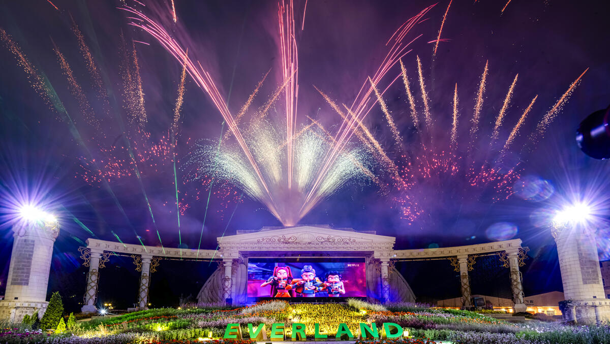 Everland Theme Park Ticket