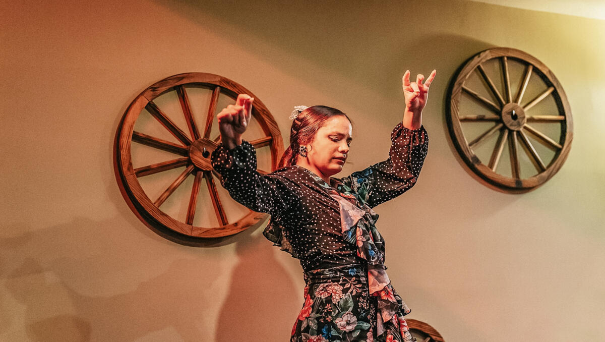 Flamenco Show