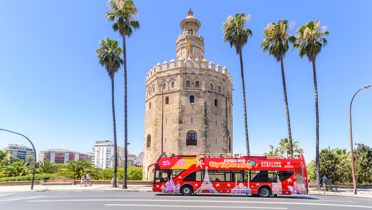 24-Hour Hop-On Hop-Off Bus with 2 Guided Walking Tours