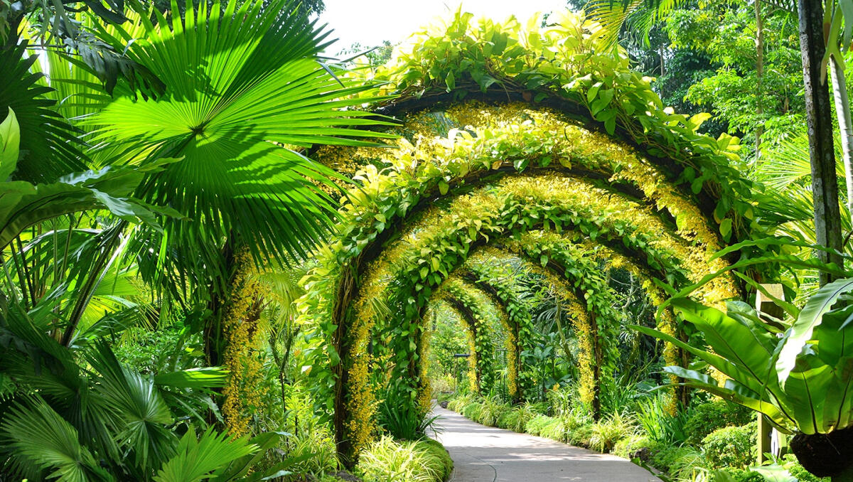 National Orchid Garden Ticket