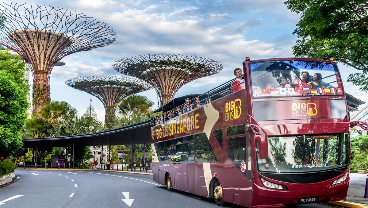 1-Day Hop-On Hop-Off Bus