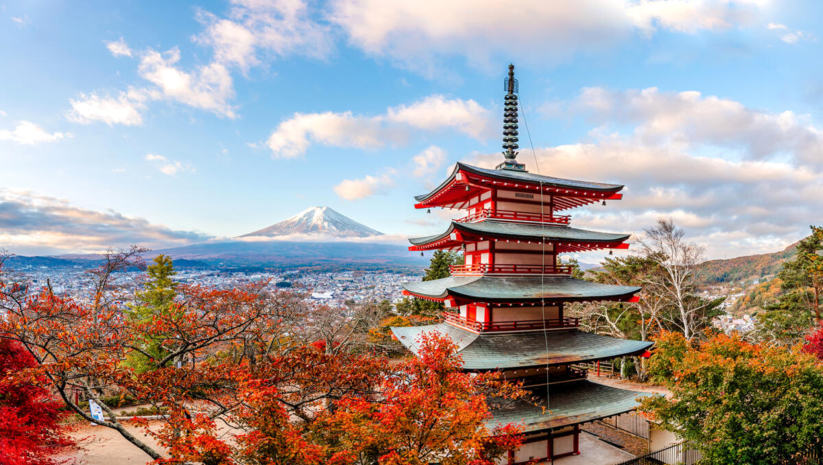 Mount Fuji Highlights Tour from Tokyo